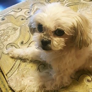 Meet your Posher, Lynn